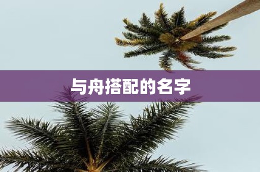 与舟搭配的名字