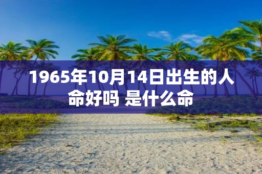 1965年10月14日出生的人命好吗 是什么命