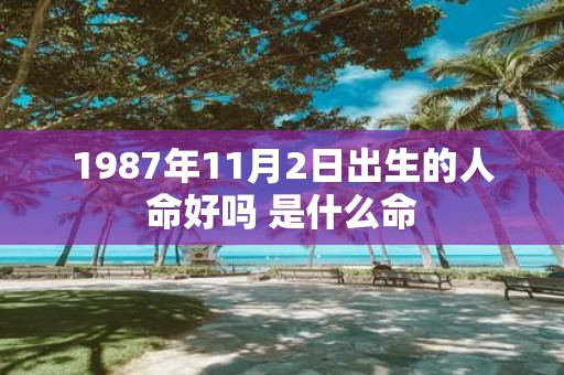 1987年11月2日出生的人命好吗 是什么命