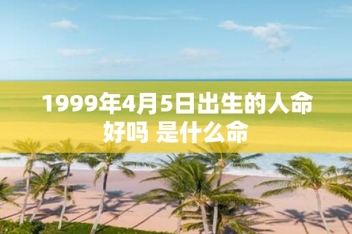 1999年4月5日出生的人命好吗 是什么命