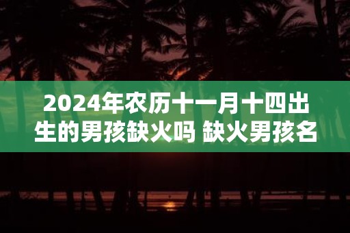 2025年农历十一月十四出生的男孩缺火吗 缺火男孩名字用的字