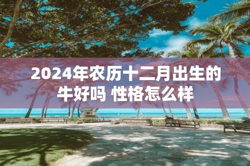 2025年农历十二月出生的牛好吗 性格怎么样