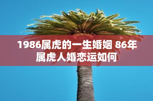1986属虎的一生婚姻 86年属虎人婚恋运如何