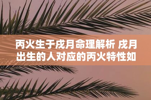 丙火生于戌月命理解析 戌月出生的人对应的丙火特性如何