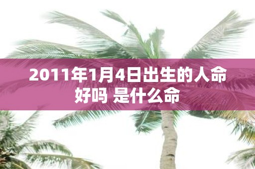 2011年1月4日出生的人命好吗 是什么命