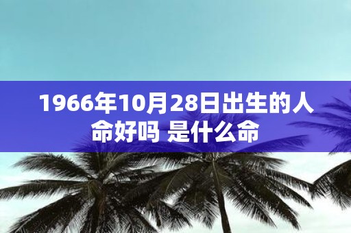 1966年10月28日出生的人命好吗 是什么命