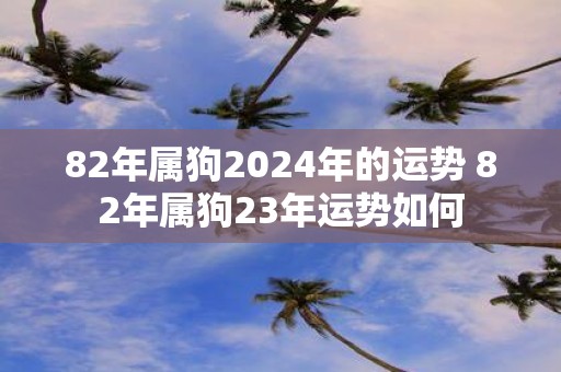 82年属狗2025年的运势 82年属狗23年运势如何