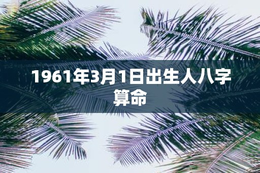1961年3月1日出生人八字算命