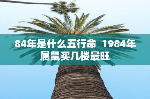 84年是什么五行命 1984年属鼠买几楼最旺