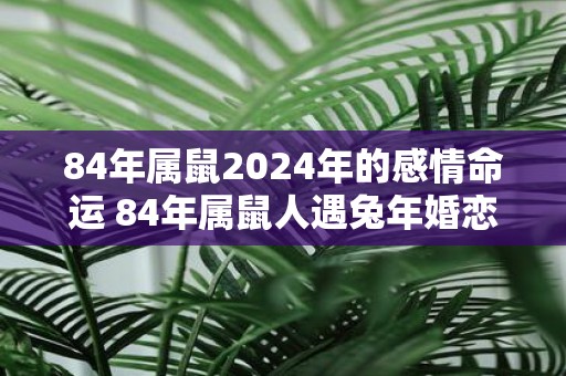 84年属鼠2025年的感情命运 84年属鼠人遇蛇年婚恋运势