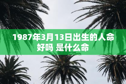 1987年3月13日出生的人命好吗 是什么命