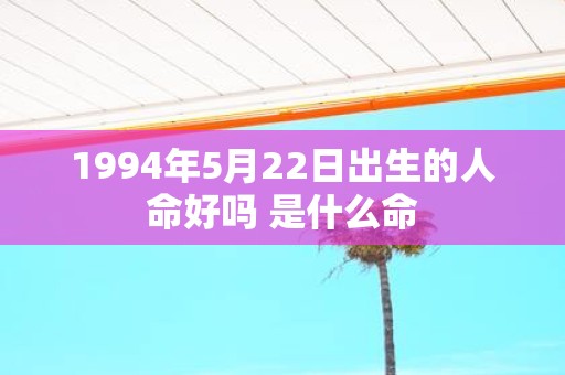 1994年5月22日出生的人命好吗 是什么命