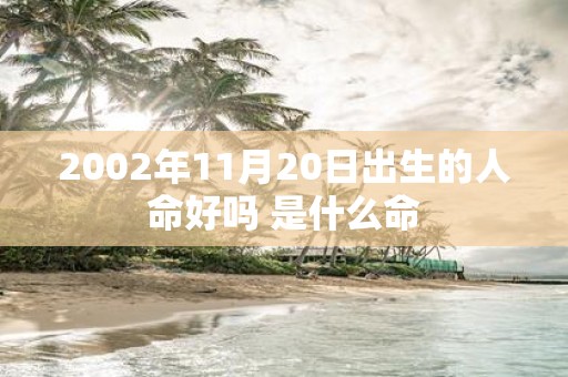 2002年11月20日出生的人命好吗 是什么命