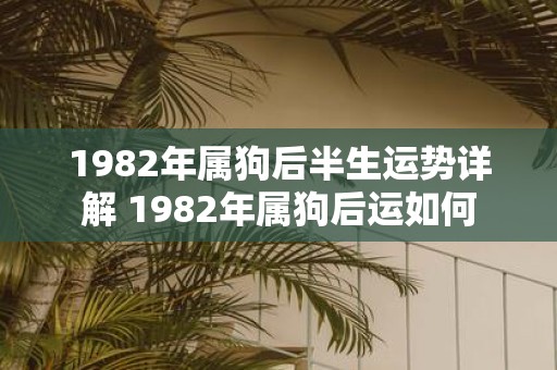 1982年属狗后半生运势详解 1982年属狗后运如何