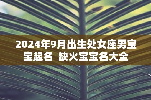 2025年9月出生处女座男宝宝起名 缺火宝宝名大全