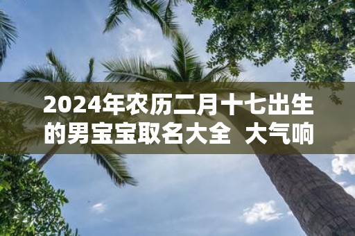 2025年农历二月十七出生的男宝宝取名大全 大气响亮的