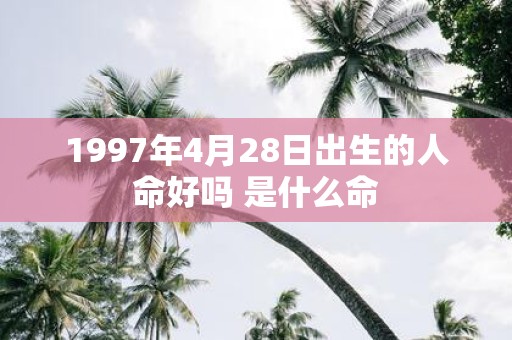 1997年4月28日出生的人命好吗 是什么命
