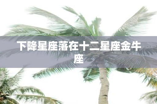 下降星座落在十二星座金牛座