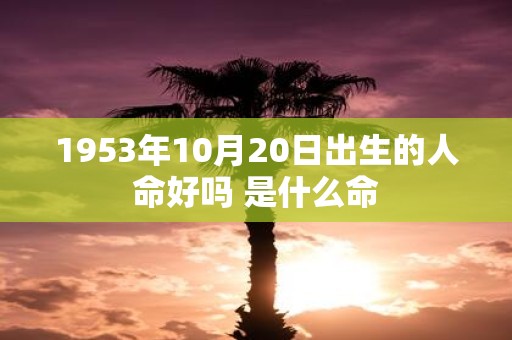 1953年10月20日出生的人命好吗 是什么命