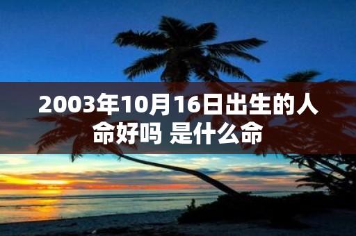 2003年10月16日出生的人命好吗 是什么命