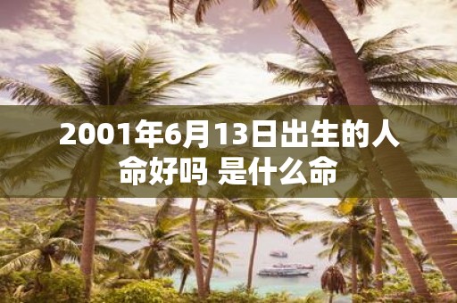2001年6月13日出生的人命好吗 是什么命