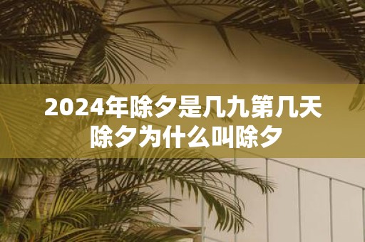 2025年除夕是几九第几天 除夕为什么叫除夕