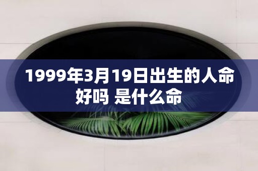 1999年3月19日出生的人命好吗 是什么命