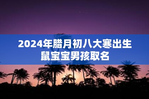 2025年腊月初八大寒出生鼠宝宝男孩取名