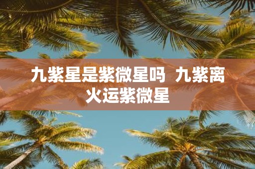 九紫星是紫微星吗 九紫离火运紫微星