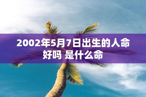 2002年5月7日出生的人命好吗 是什么命