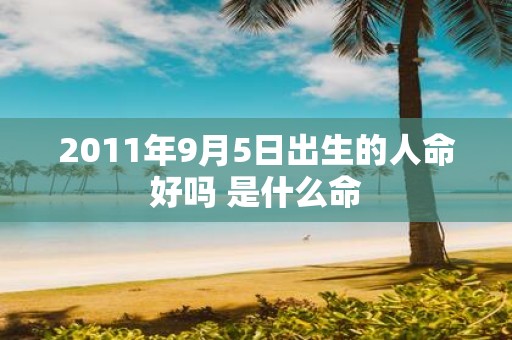 2011年9月5日出生的人命好吗 是什么命