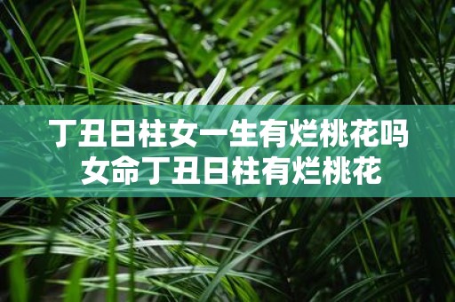丁丑日柱女一生有烂桃花吗 女命丁丑日柱有烂桃花