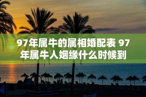 97年属牛的属相婚配表 97年属牛人姻缘什么时候到