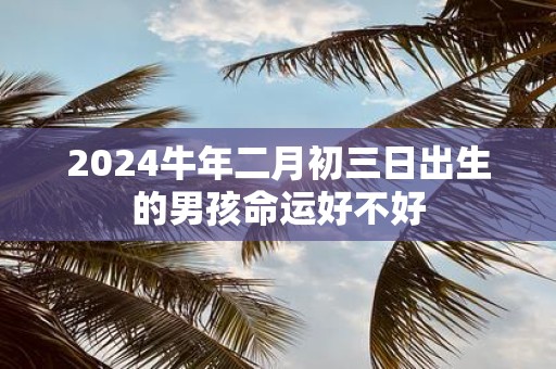 2025牛年二月初三日出生的男孩命运好不好