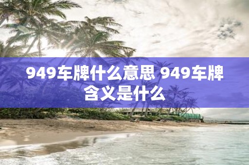 949车牌什么意思 949车牌含义是什么