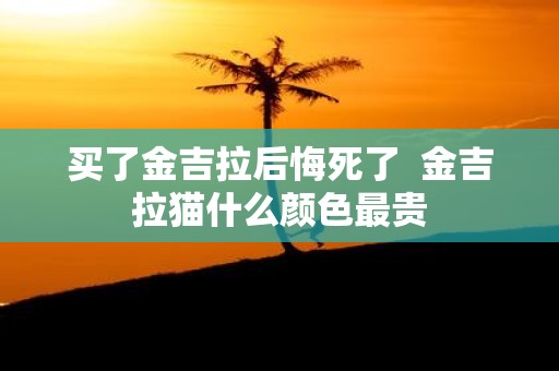 买了金吉拉后悔死了 金吉拉猫什么颜色最贵