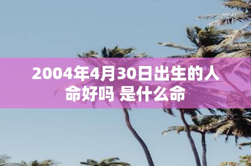 2004年4月30日出生的人命好吗 是什么命