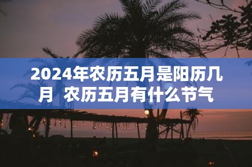 2025年农历五月是阳历几月 农历五月有什么节气