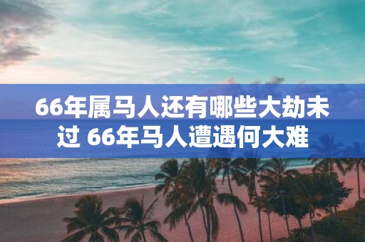 66年属马人还有哪些大劫未过 66年马人遭遇何大难