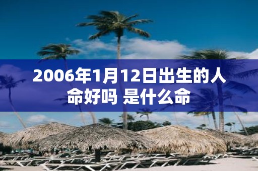 2006年1月12日出生的人命好吗 是什么命