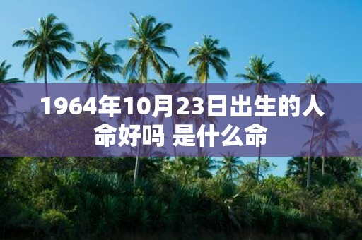 1964年10月23日出生的人命好吗 是什么命