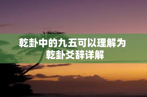乾卦中的九五可以理解为 乾卦爻辞详解