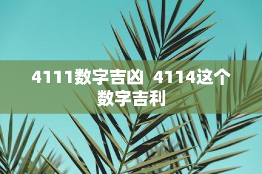 4111数字吉凶 4114这个数字吉利
