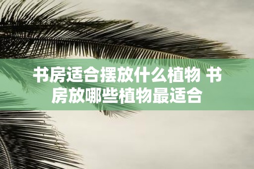 书房适合摆放什么植物 书房放哪些植物最适合
