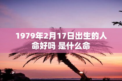 1979年2月17日出生的人命好吗 是什么命