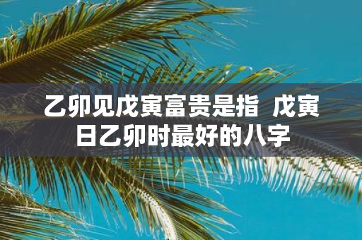 乙卯见戊寅富贵是指 戊寅日乙卯时最好的八字