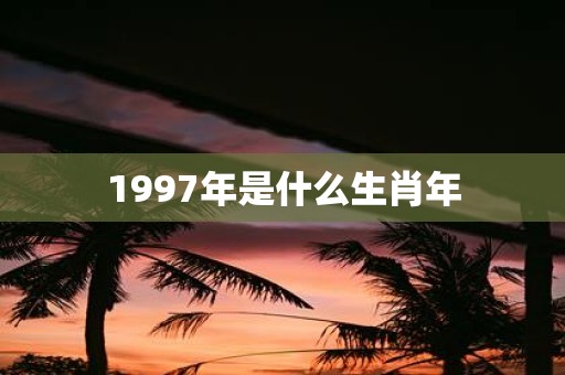 1997年是什么生肖年