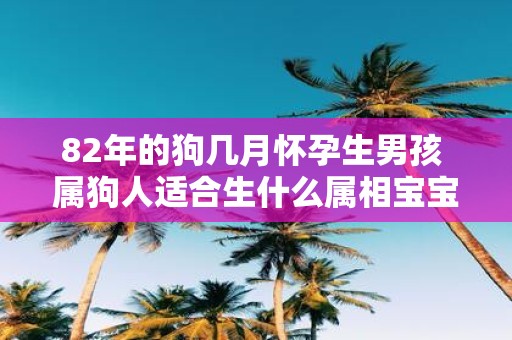 82年的狗几月怀孕生男孩 属狗人适合生什么属相宝宝