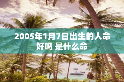 2005年1月7日出生的人命好吗 是什么命