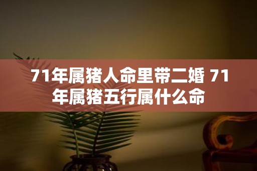 71年属猪人命里带二婚 71年属猪五行属什么命